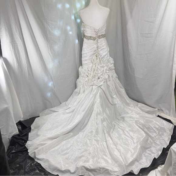 Gorgeous White Wedding Dress and Vail !! - Picture 5 of 12